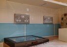 Gallery 6-4